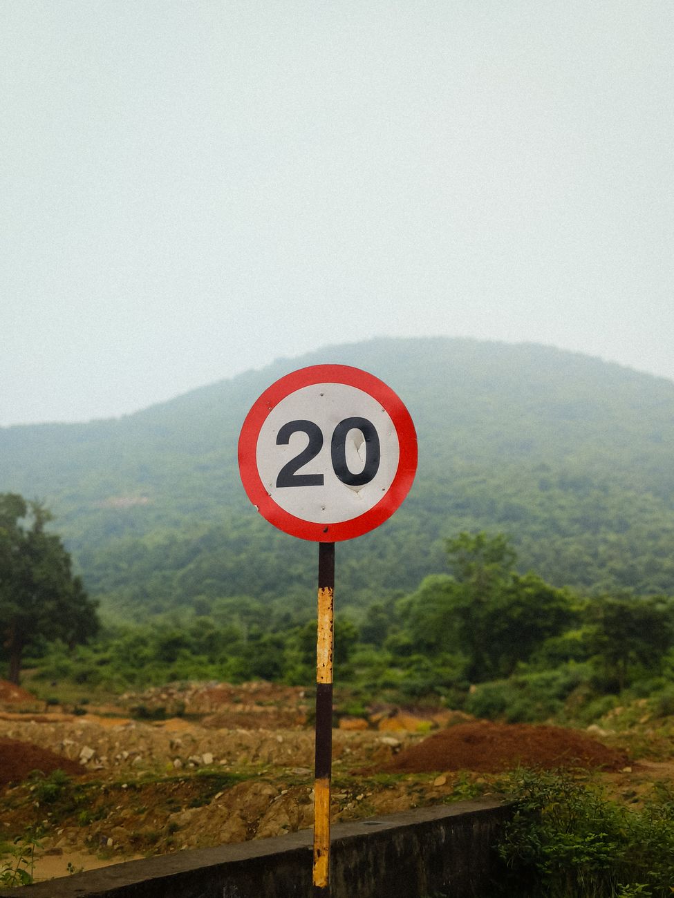speed limit sign in lush indian landscape